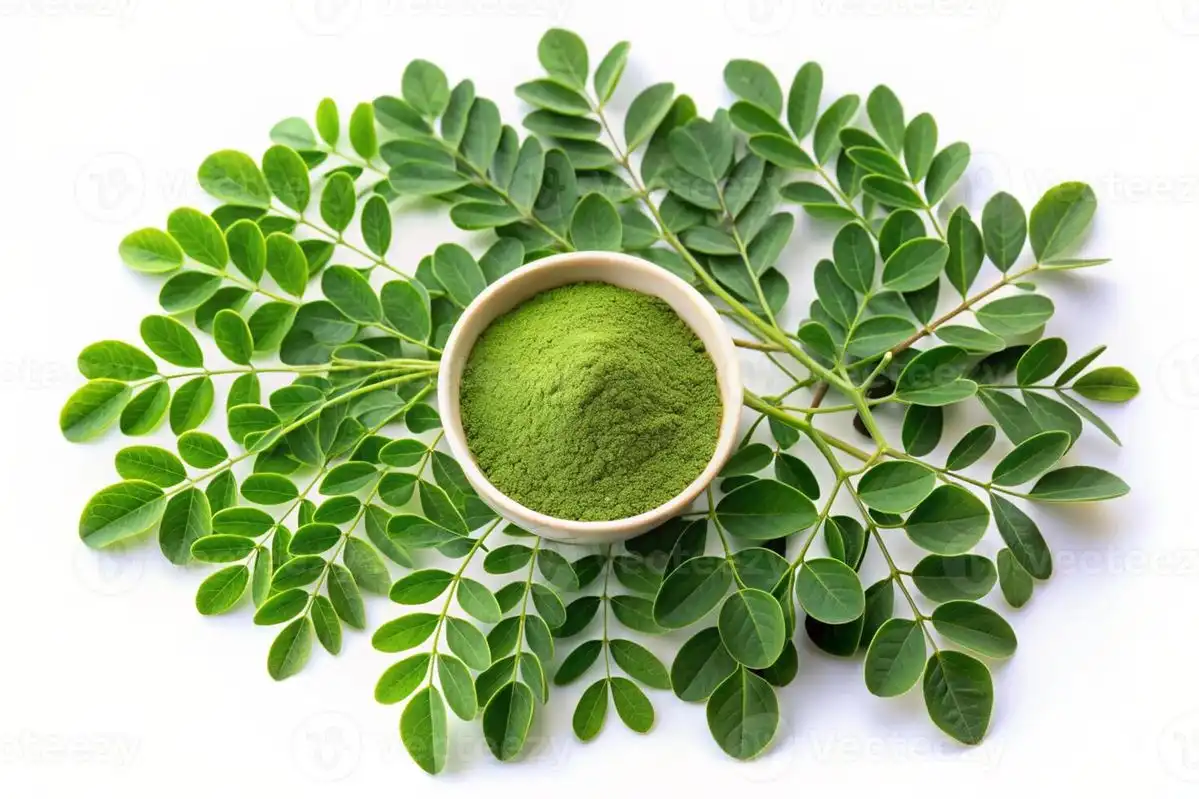 Fakta Menarik tentang Daun Kelor, Tanaman Sederhana dengan Segudang Manfaat