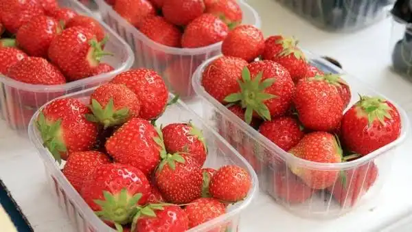 Tips Memilih Strawberry yang Segar