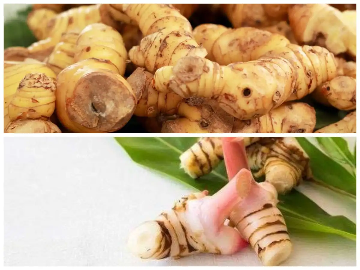 Banyak Orang Menggunakannya Setiap Hari, Tapi Tak Tahu Manfaat Bumbu Ini