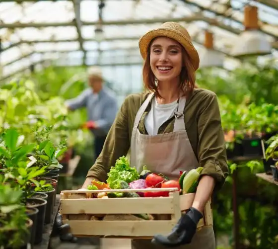 Trik Menyimpan Buah Panen Sendiri Supaya Tidak Cepat Busuk, Jaga Kesegarannya