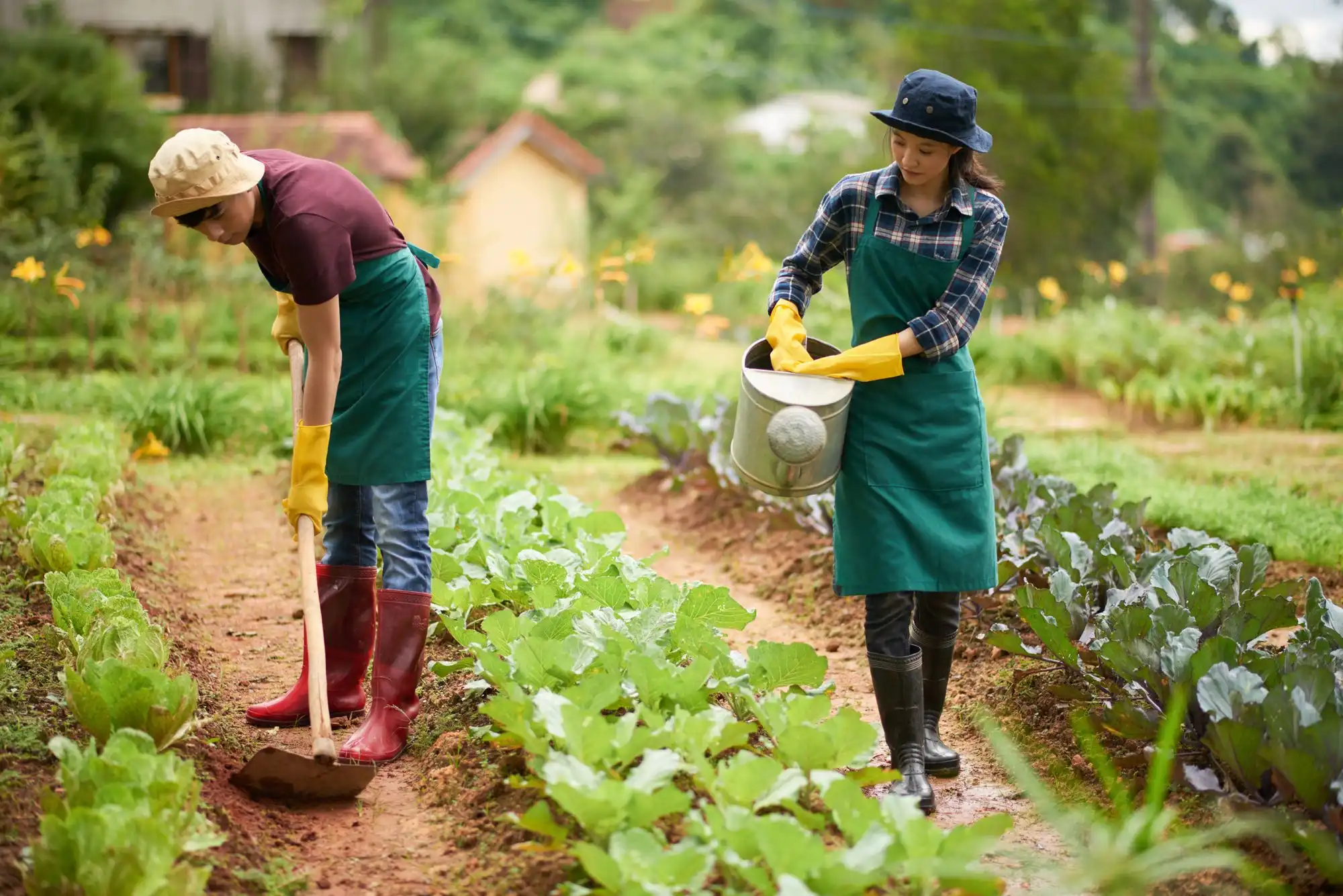 Manfaat Berkebun sebagai Hobi yang Menenangkan