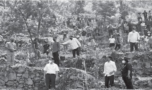 Pemprov Sumut Anggarkan Rp2 M untuk Benih Macademia