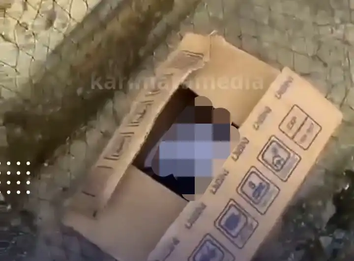 Bayi Perempuan Ditemukan Meninggal dalam Kardus, Ada Pesan "Tolong Kuburkan dengan Layak"