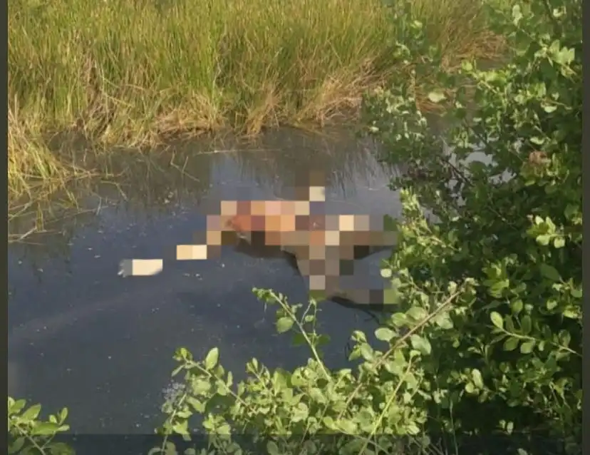 Mayat Mr X Ditemukan di Tambak Ikan Tanjung Bumi, Polisi Lakukan Penyelidikan Intensif 