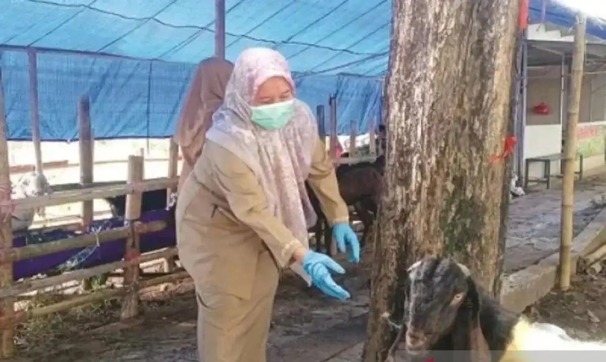 Jelang Iduladha, Sumenep Perketat Pengawasan dan Aktivitas Jual Beli Hewan Kurban