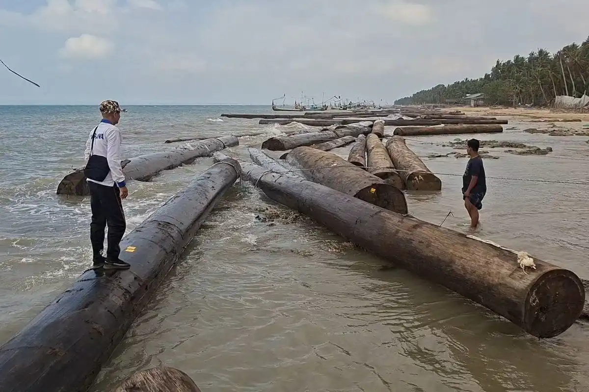 Ganti Rugi Terdampak Ratusan Kayu Gelondongan di Sumenep Belum Dibayarkan