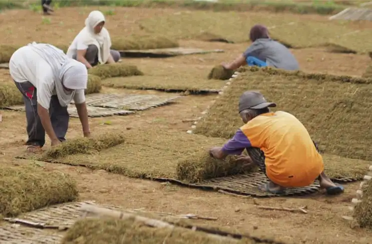 Tahun Ini Dinsos PPPA Sampang Terima Rp6,8 Miliar DBHCHT, Turun Rp2,8 Miliar