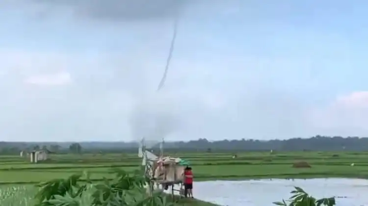 Angin Puting Beliung Sapu Area Persawahan di Bangkalan