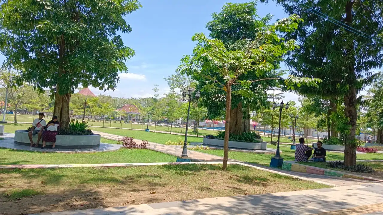 Kejar Target RTH, Koleksi Pohon Pule di Alun-Alun Trunojoyo Bertambah