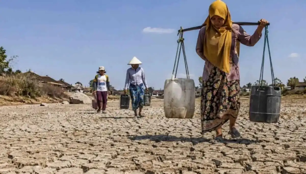 Wilayah Madura Jadi Kawasan Terdampak Kekeringan Terparah di Jatim