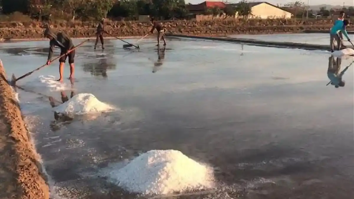 Sambut Kemarau, Petani Garam di Sumenep Mulai Siapkan Lahan