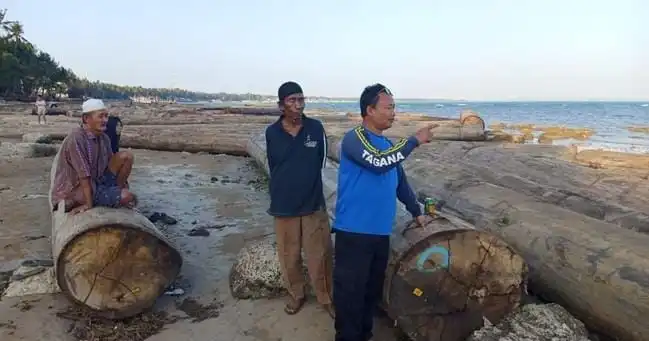 Warga Pesisir Sumenep Temukan Ratusan Kayu Gelondongan Terdampar di Pantai