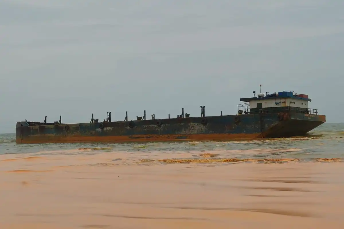 Ikan dan Biota Laut Ditemukan Mati di Sekitar Tumpahan CPO di Perairan Gili Iyang