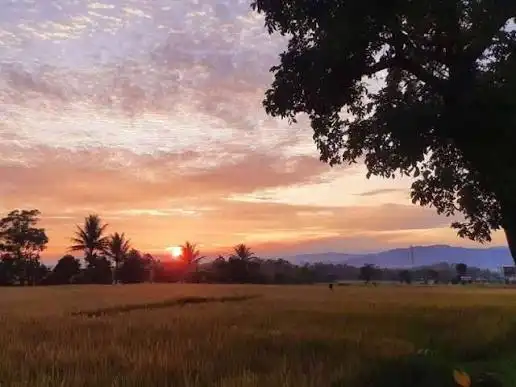 Pagi Berantakan? Ini Panduan Biar Tetap Produktif dan Fokus