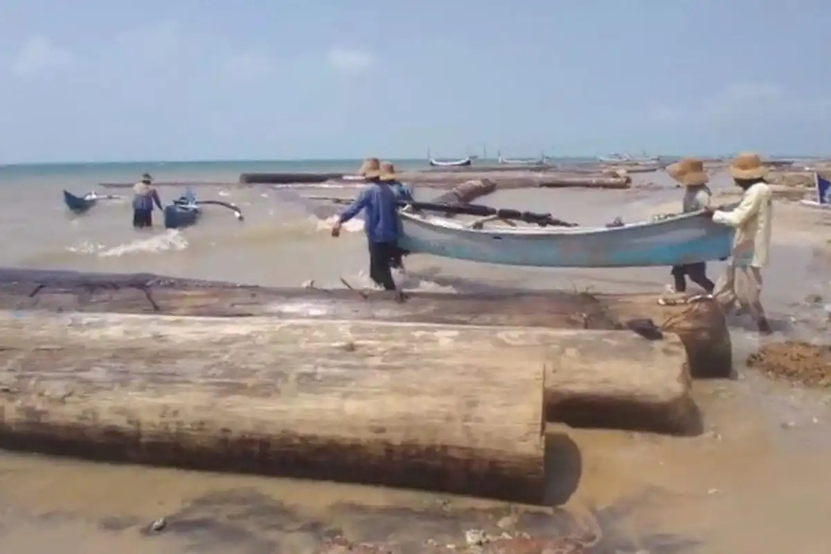 Belum Dievakuasi, Ratusan Kayu Gelondongan Ganggu Aktivitas Nelayan Sumenep