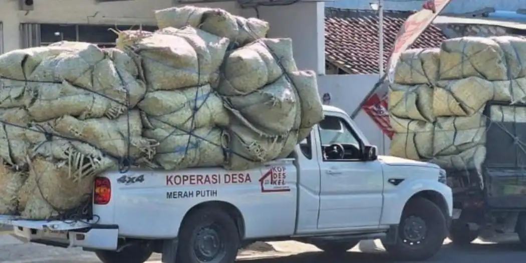 Viral di Medsos, Mobil KDKMP Angkut Tembakau di Pamekasan