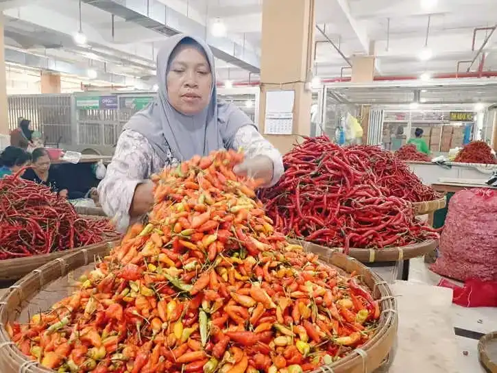 Harga Cabai Rawit di Sampang Tembus Rp100 Ribu per Kg