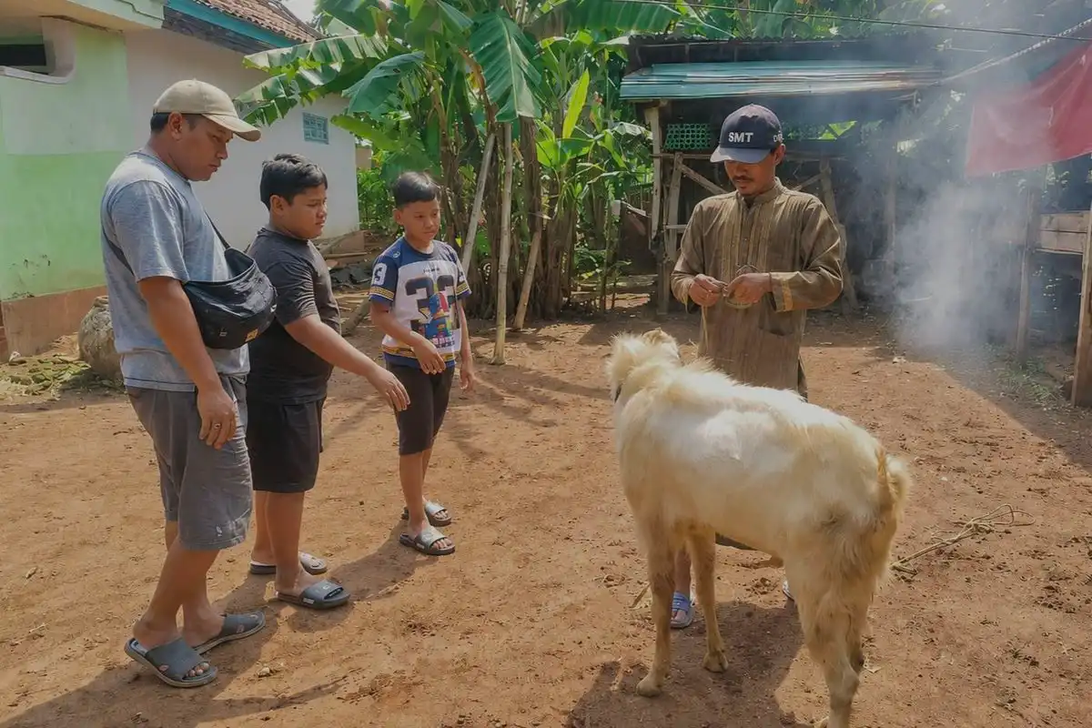 Siswa Kelas 3 SD di Bangkalan Beli Kambing Kurban dari Hasil Nabung Selama Setahun