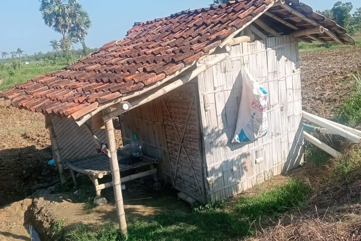  Pencurian Pompa Air Marak, Petani Tembakau di Sumenep Resah