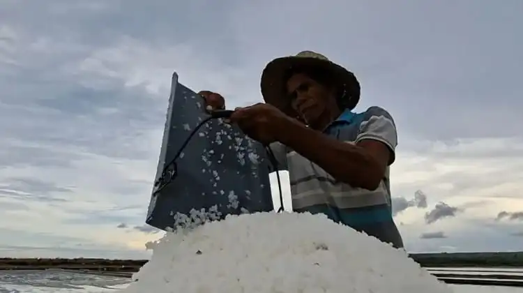 Pemkab Sumenep Sebut Garam Impor Jadi Hambatan Petani Lokal