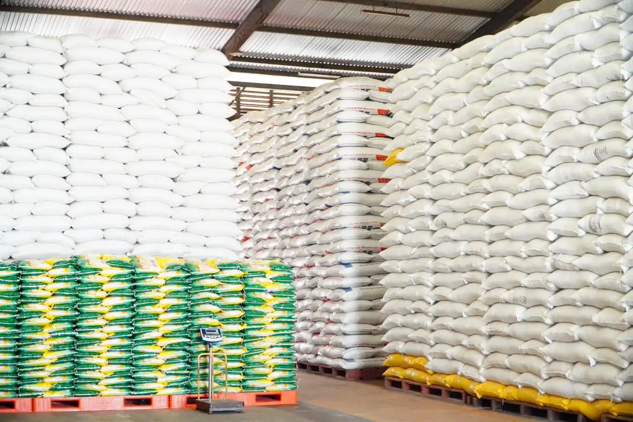 Data FAO: Produksi Beras Indonesia Tertinggi di Asia Tenggara dan Ke Empat Dunia
