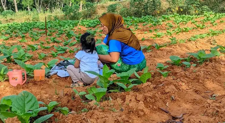 Anggaran DBHCHT Sampang 2026 Turun, Nominal BLT Buruh Tembakau hingga Marbot Berkurang