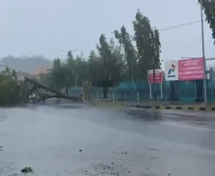 Anging Kencang Terjang Bangkalan, 2 Bangunan Tertimpa Pohon Tumbang