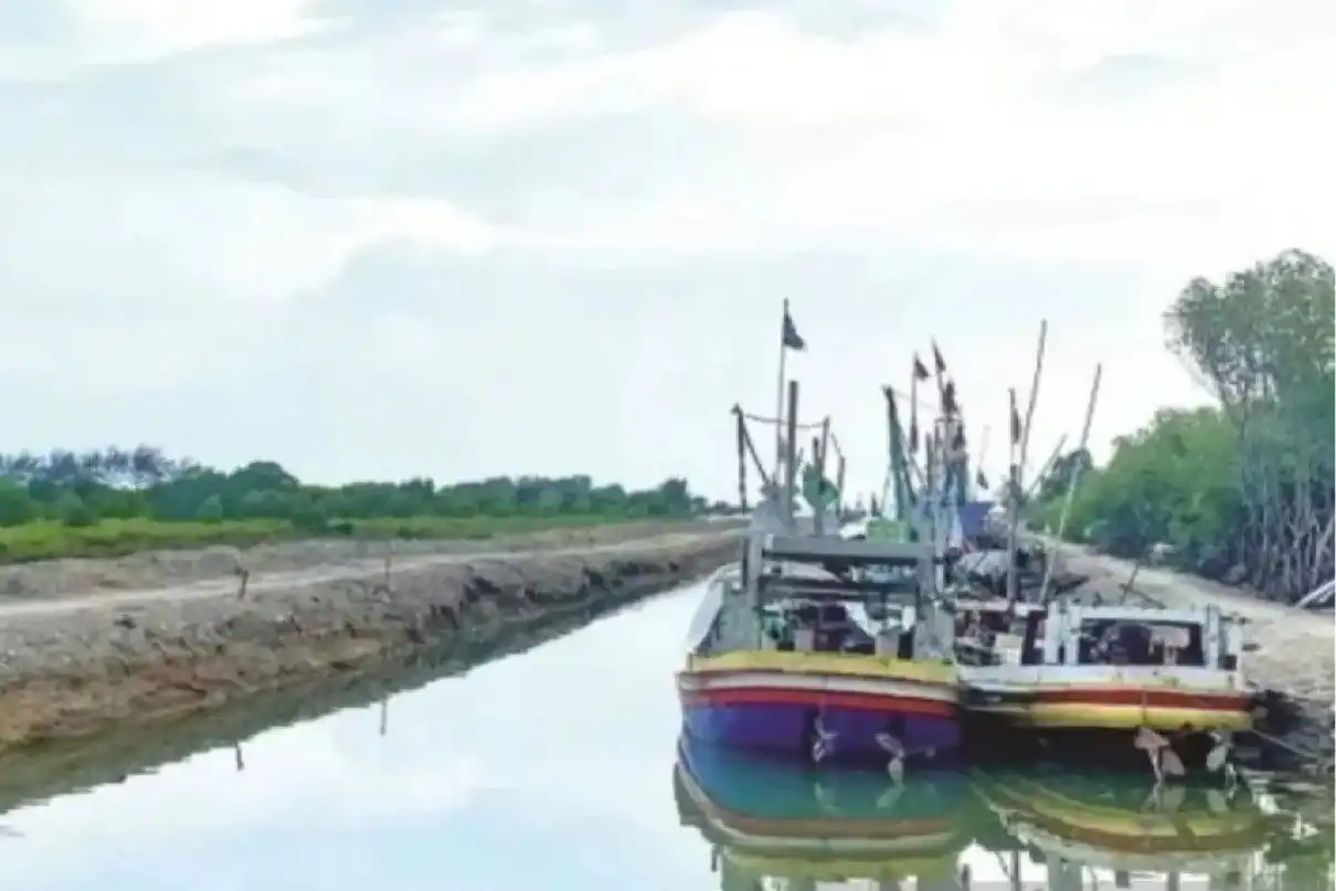 Polisi Periksa 170 Nelayan Pamekasan, Diduga Terkait Perusakan Hutan Mangrove