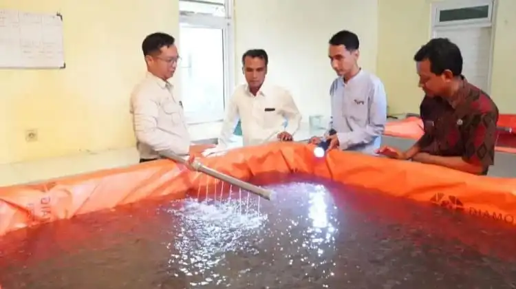 Permintaan Naik, Pemkab Bangkalan Genjot Budidaya Lele untuk Program MBG