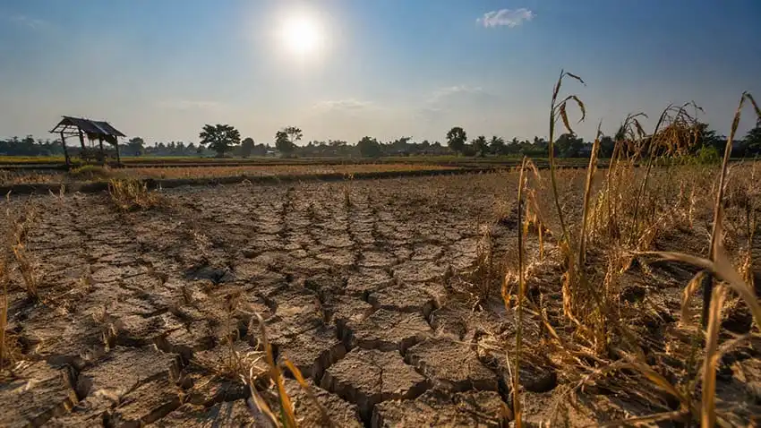 Pemkab Sumenep Siapkan Mitigasi Hadapi Ancaman El Nino