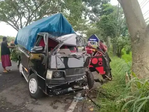 Pikap Muatan Bawang Tabrak Pohon di Bangkalan, 1 Orang Meninggal Dunia