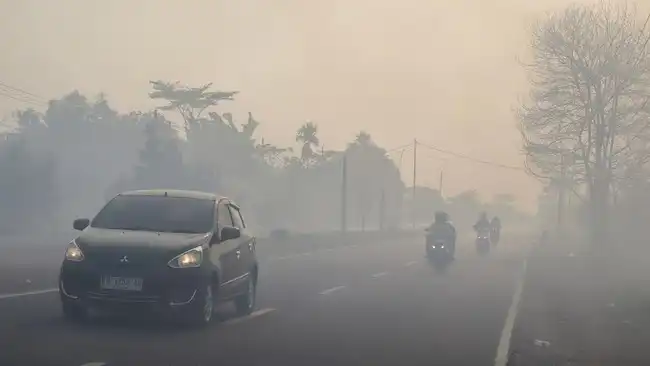Kualitas Udara Palangka Raya Masuk Kategori Berbahaya akibat Karhutla