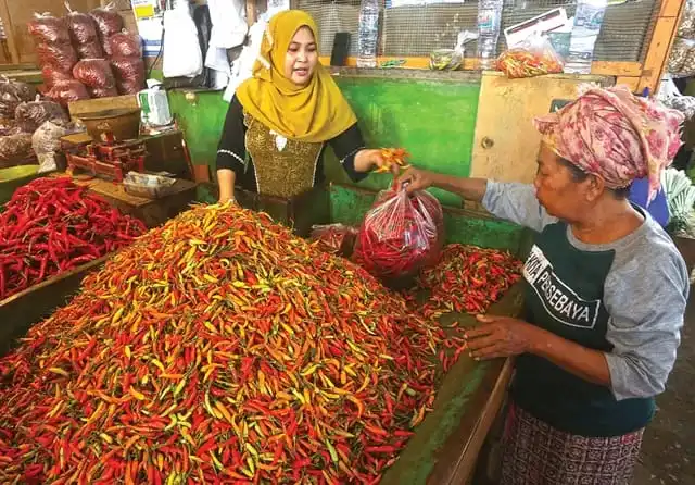 Jelang Ramadan, Harga Cabai Rawit di Sampang Tembus Rp80 Ribu Per Kilogram