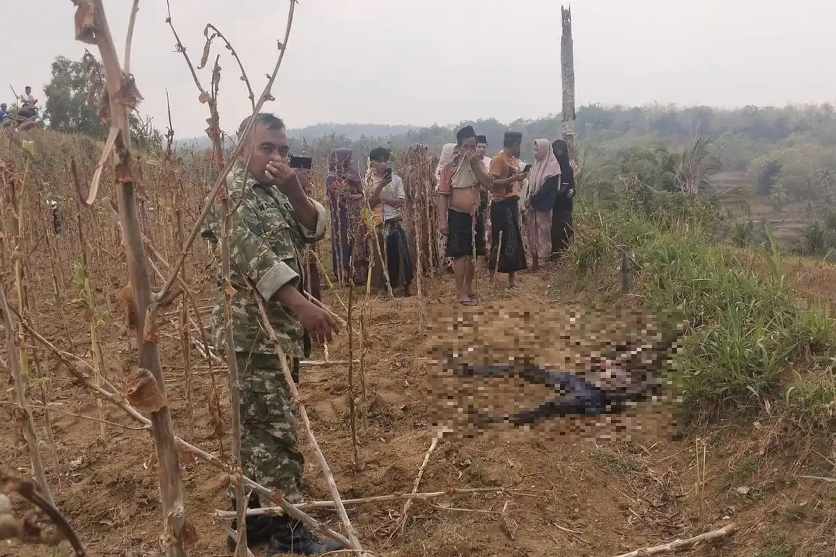 Petani Pamekasan Temukan Mayat Membusuk di Semak-semak
