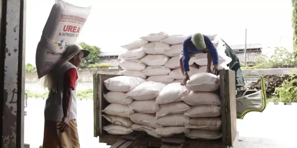 Kuota Pupuk Subsidi Tahun 2026 di Sampang Bertambah, Ini Rinciannya