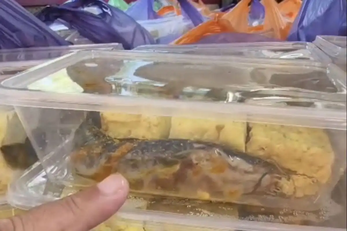 BGN Stop Sementara Operasional SPPG Penyaji Lele Mentah di Pamekasan