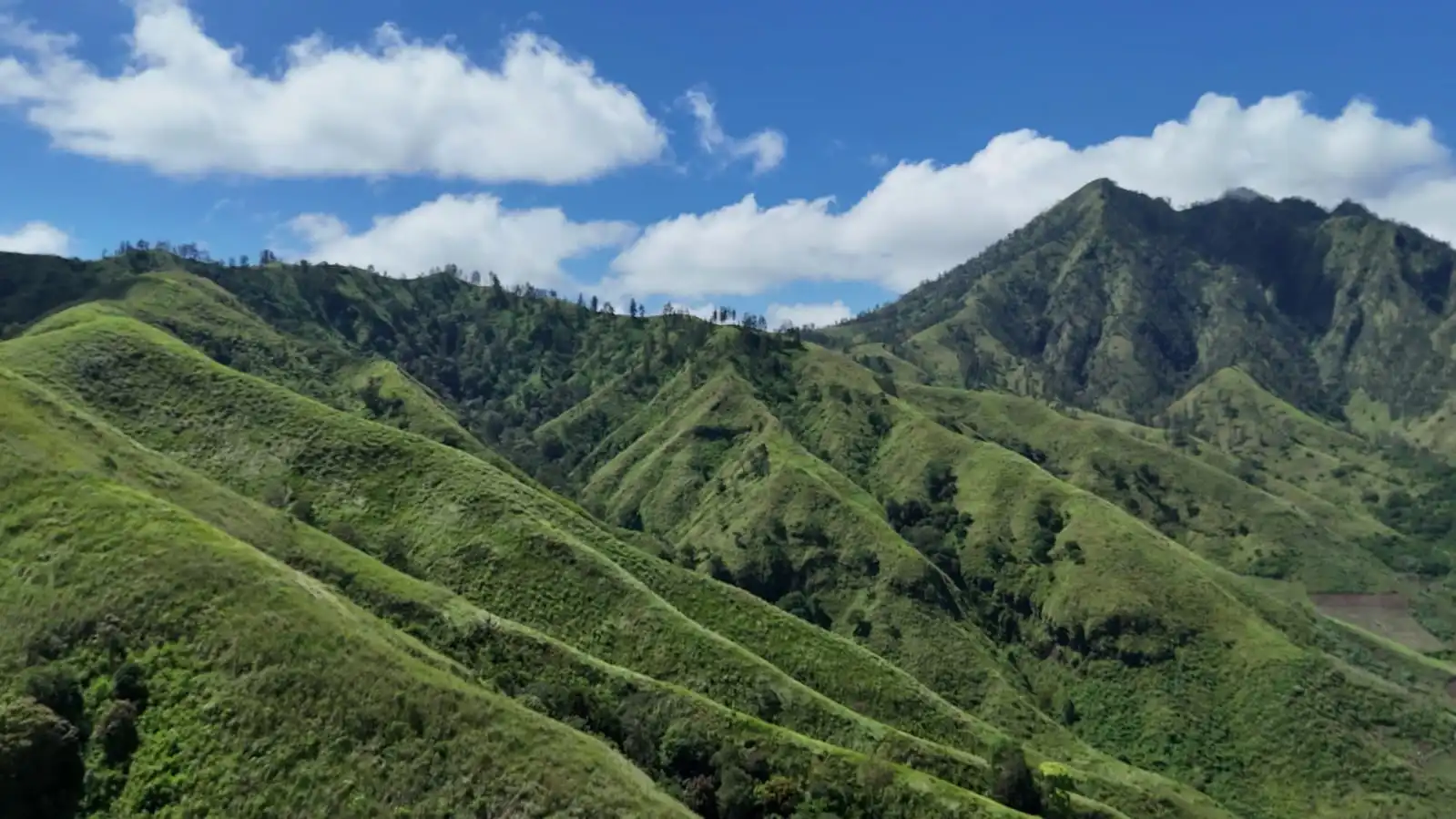 Ekspedisi Pembukaan Jalur Pendakian Gunung Carenge dan Panorama Indah, Potensi Wisata Baru di Bondowoso