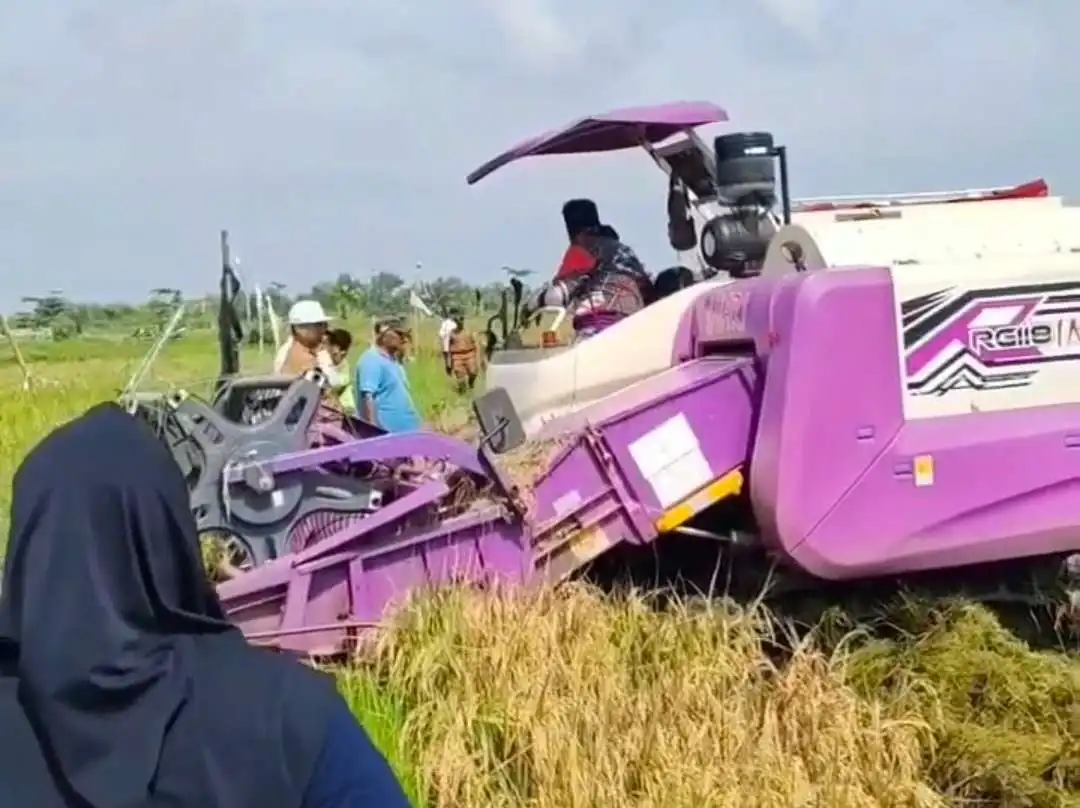  Jaga Surplus Pangan, Pemkab Bangkalan Implementasikan Teknologi Pertanian