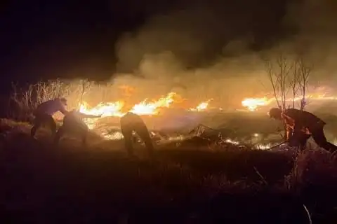 176,20 Hektare Kawasan Bromo Dilalap Api, Penanganan Karhutla via Darat dan Udara
