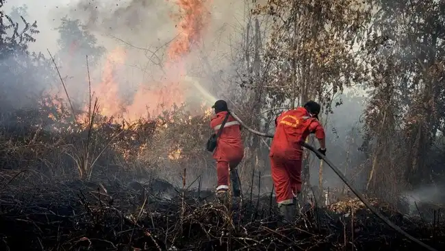 DPR Minta Karhutla Ditetapkan sebagai Bencana Nasional