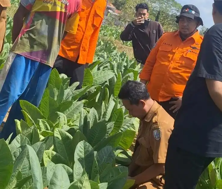 BPBD Sampang Selidiki Suara Gemuruh Air Misterius di Area Persawahan Warga