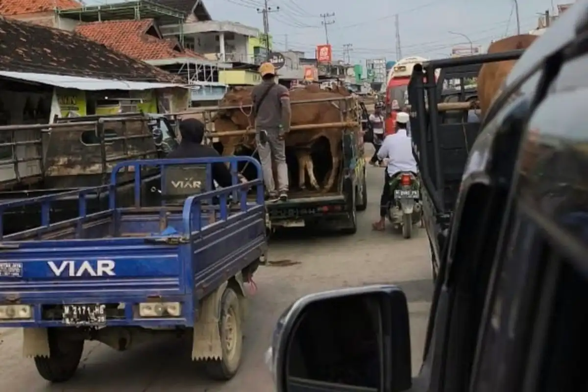 Jelang Iduladha, Jalan Raya Blega Bangkalan Macet Imbas Pasar Hewan
