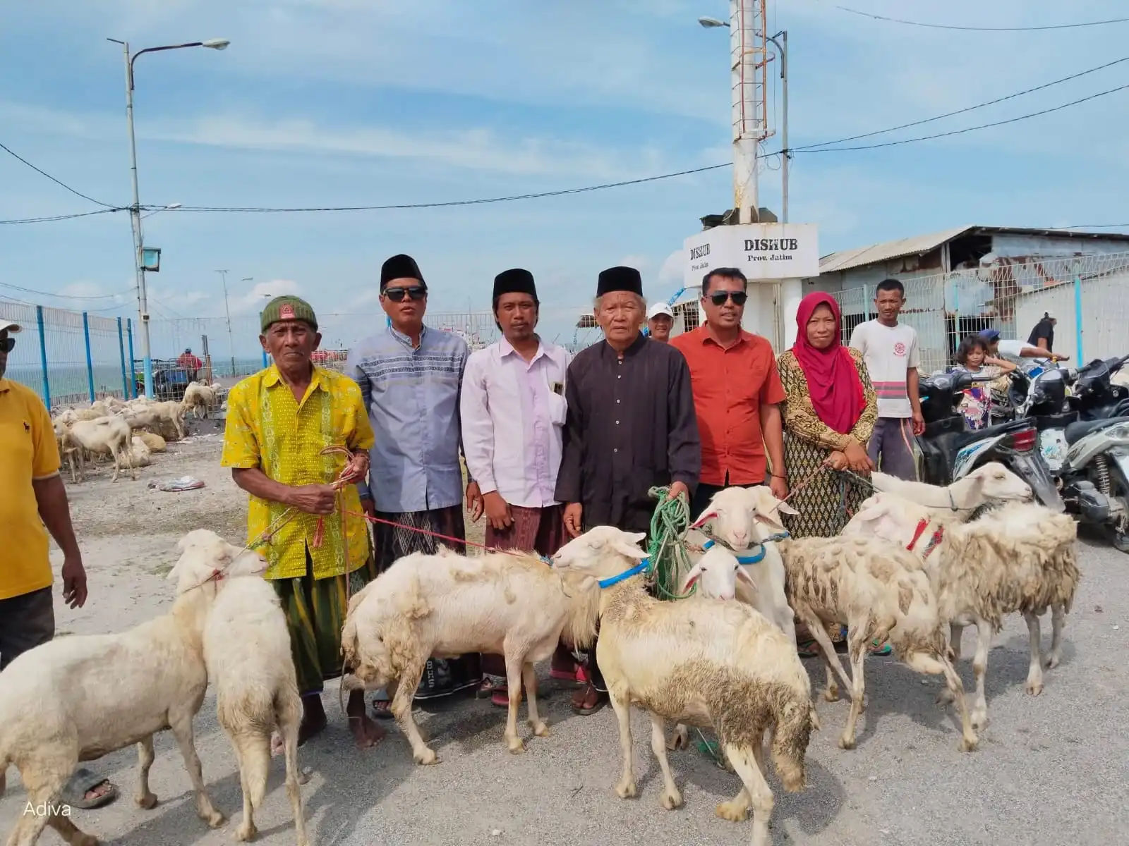 Bantu Perekonomian Warga, Pemdes Pulau Mandangin Salurkan Bantuan Kambing 