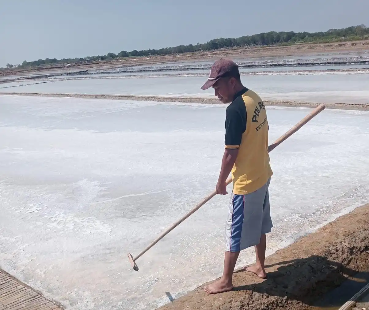 Harga Garam di Sampang Rp40 Ribu per Sak, Petani: Habis di Biaya Produksi