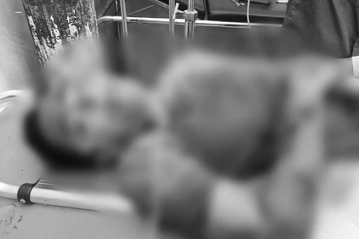 Penghuni Rumah Kos di Bangkalan Dibacok 2 Orang, Pelaku Kabur