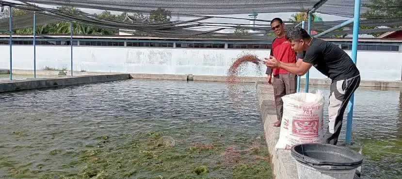 Cegah Jual Beli Ilegal, Diskan Sampang Pantau Ketat Penyaluran Bantuan Pakan Lele