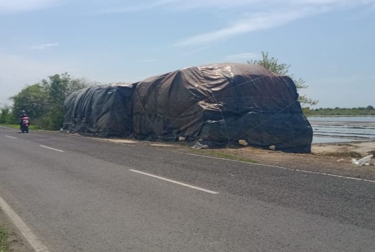 Harga Garam Murah, Petani Sampang Pilih Timbun Hasil Panen