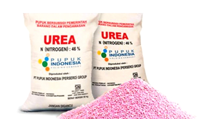 Tahun 2021, Kabupaten Sampang Mendapat Jatah 35.000 Ton Pupuk Bersubsidi
