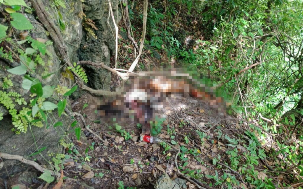 Geger ! Warga Paopale Laok Ketapang Temukan Mayat Perempuan Tanpa Identitas