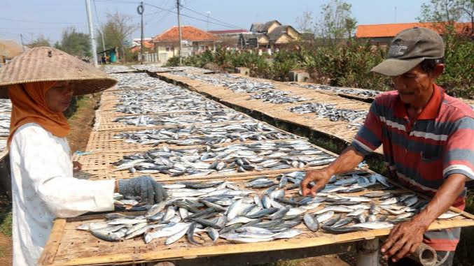 Geliat Produksi Ikan Asin Lesu di Musim Penghujan – Sampang